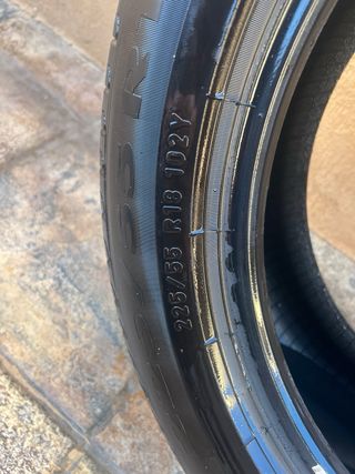 Neumático Pirelli 225/55 R18 102W