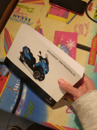 Manual Usuario Peugeot Metropolis