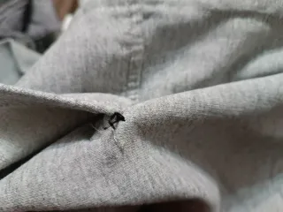 Felpa Polo Jeans Company Ralph Lauren XL