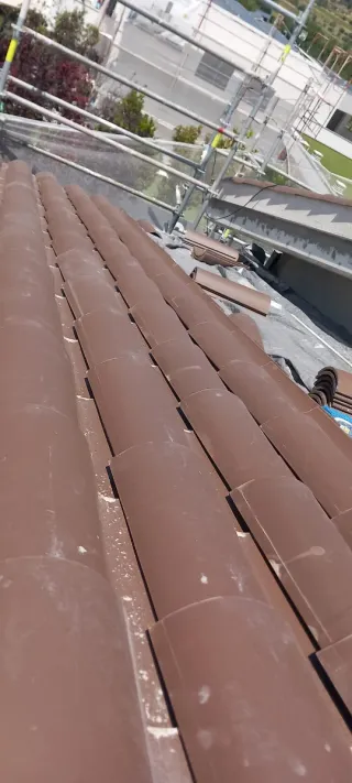 Paleta Construccion Autónomo