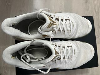 Nike Mamba Focus Phantom/Metallic Gold