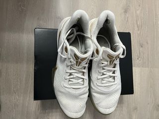 Nike Mamba Focus Phantom/Metallic Gold