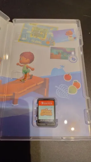 Animal Crossing & Super Mario Odyssey Switch