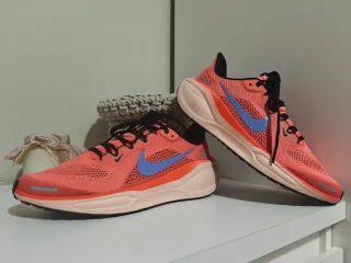 Nike Pegasus Air Zoom Zapatillas Running