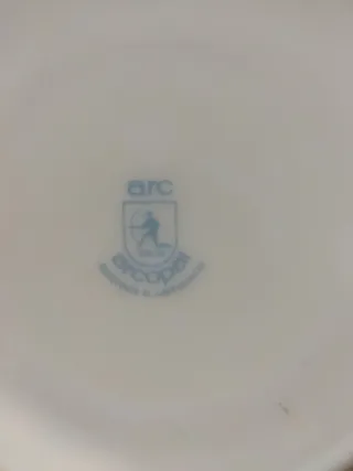 Vajilla Arcopal 12 servicios y una bandeja.