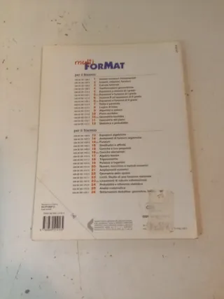 Multiformat. Per il Liceo scientifico