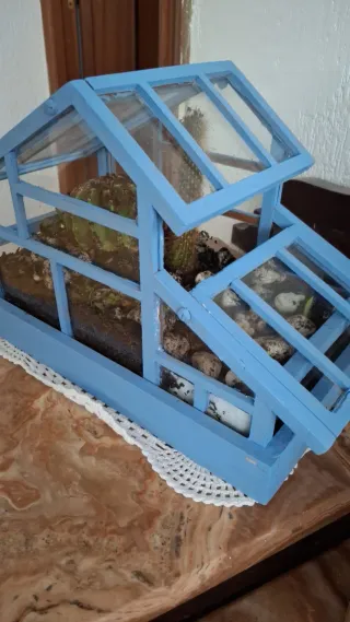 Mini invernadero para plantas