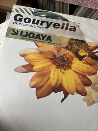 Vinilo Gouryella Ligaya Ferry Corsten