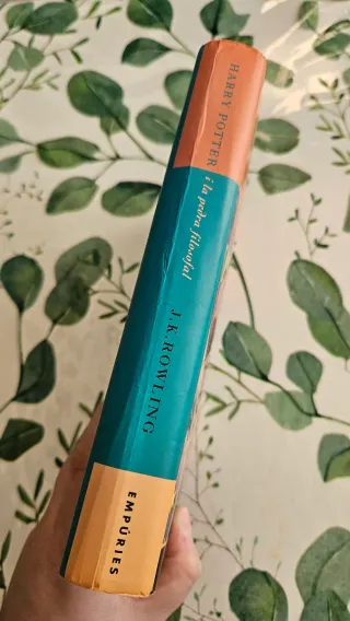 Harry Potter i la pedra filosofal (libro 1)