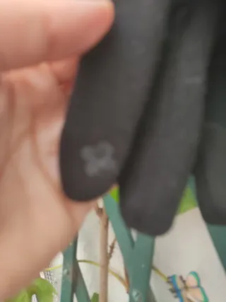 Conjunto gorro y guantes negro