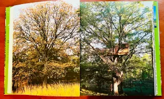 Treehouse Living casas en los árboles