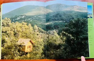 Treehouse Living casas en los árboles