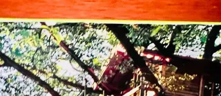 Treehouse Living casas en los árboles