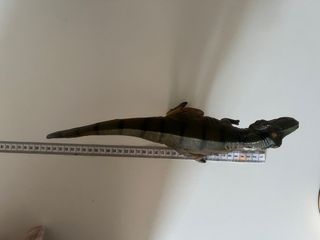 Dinosaurio T-Rex Juguete