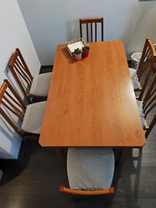 Mesa comedor extensible + 6 sillas