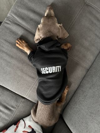 Felpa per cane SECURITY taglia S
