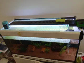 Acuario con mueble blanco