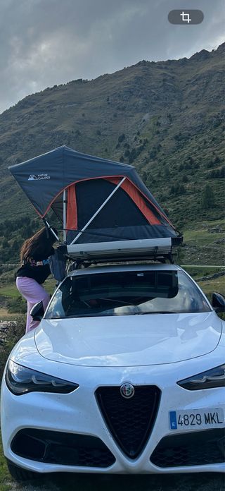 Vaca especifica coche Alfa Romeo, usada dos veces