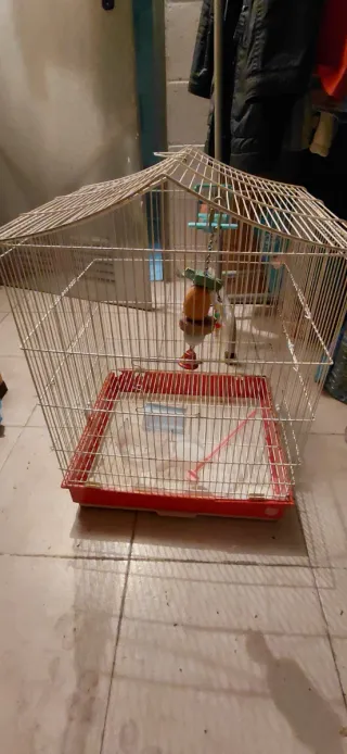 Jaula grande para pájaros