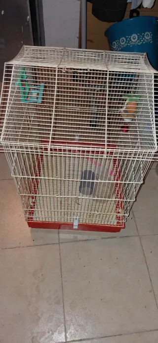 Jaula grande para pájaros