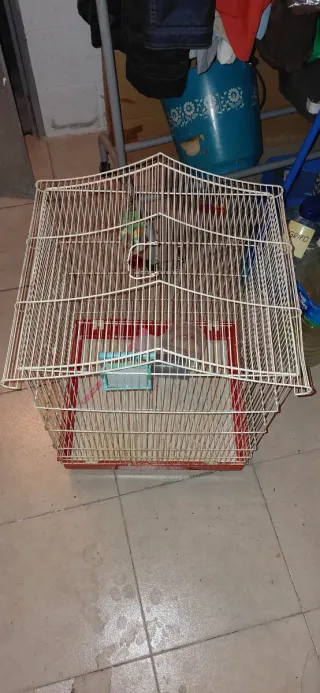 Jaula grande para pájaros