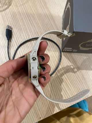 Garmin fenix 6s Pro Solar Beige