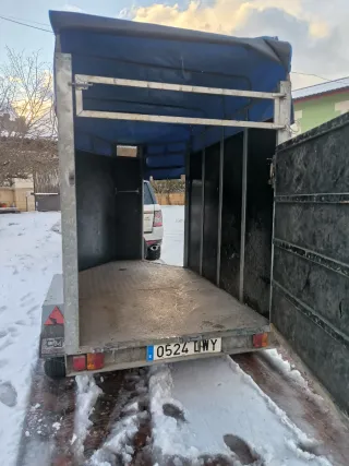 Remolque caballos , caballo y medio