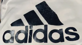 Chándal Real Madrid Adidas Paseo.