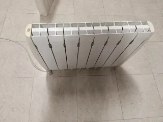 Radiador Eléctrico Electroproduct D 100