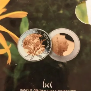 Moneta 5 Euro Argento Lussemburgo Arnica