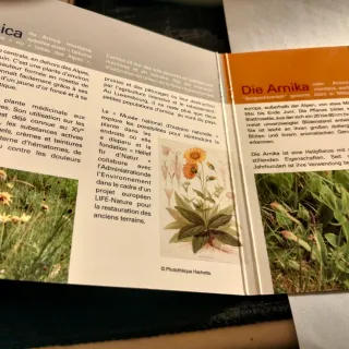 Moneta 5 Euro Argento Lussemburgo Arnica