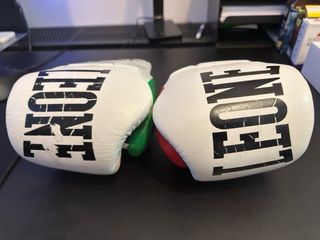 Guantes Leone Evo Performance 14 Oz