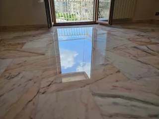 PULIDOR CRISTALIZADOS