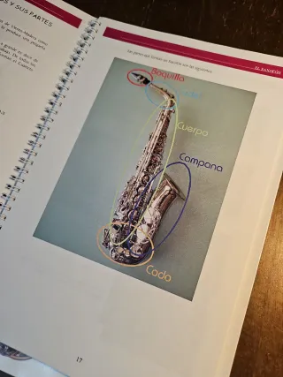 Lote Libros Musica Los hábitos posturales