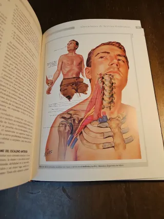 Tecnopatías del Músico - Prevención y tratamiento