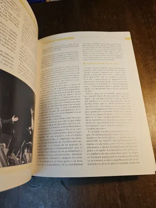 Tecnopatías del Músico - Prevención y tratamiento