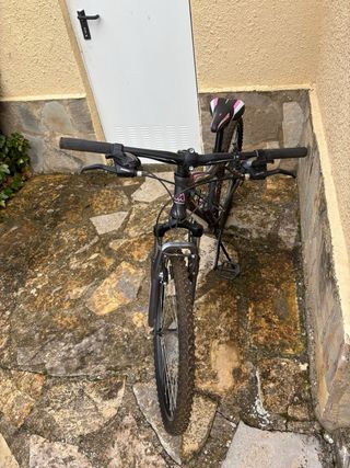 Bicicleta Orbea de Montaña