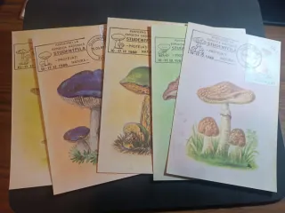 Sellos, sobresPDC, Enteros Postales temática Setas