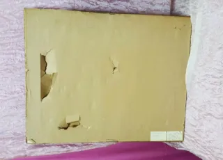 Luciana Tocchi Tramonto olio su cartone