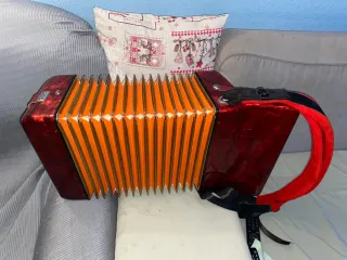 Fisarmonica Hohner Student 40 Bassi