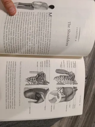 Yoga para Artritis: Guía Completa