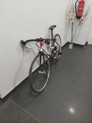 Bicicleta Carretera Carbono Mendiz Niño