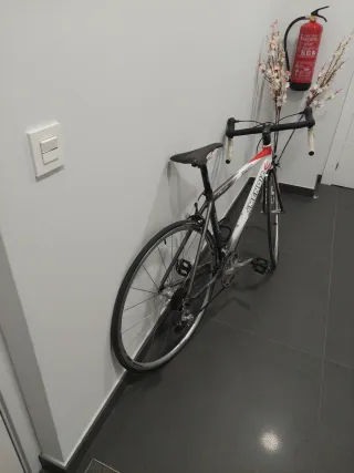 Bicicleta Carretera Carbono Mendiz Niño