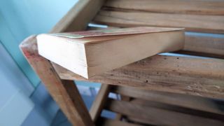 La Bibbia dei poveri - Storia popolare del mondo.