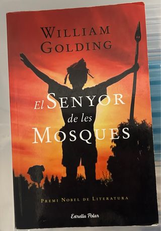 Senyor de les Mosques