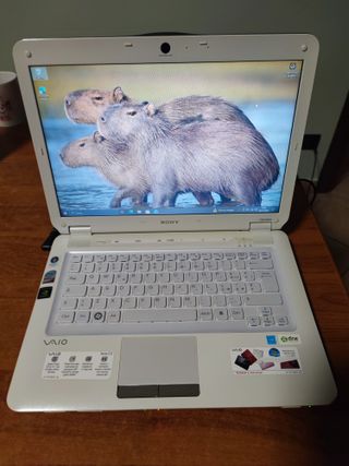 Sony Vaio CS-11S Notebook