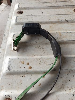 Collares Localizadores Garmin Alpha 100