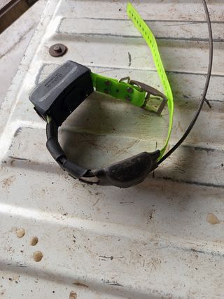 Collares Localizadores Garmin Alpha 100