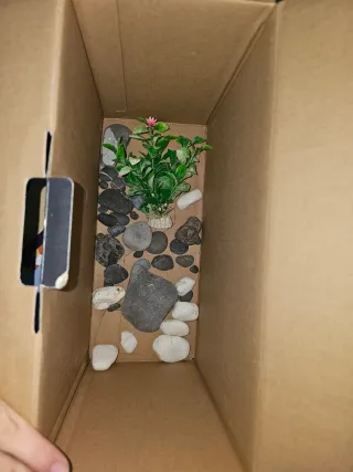 Acquario 20L + Accessori per Acquari