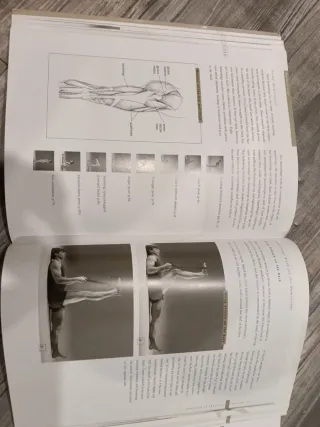 Yoga: Mastering the Basics